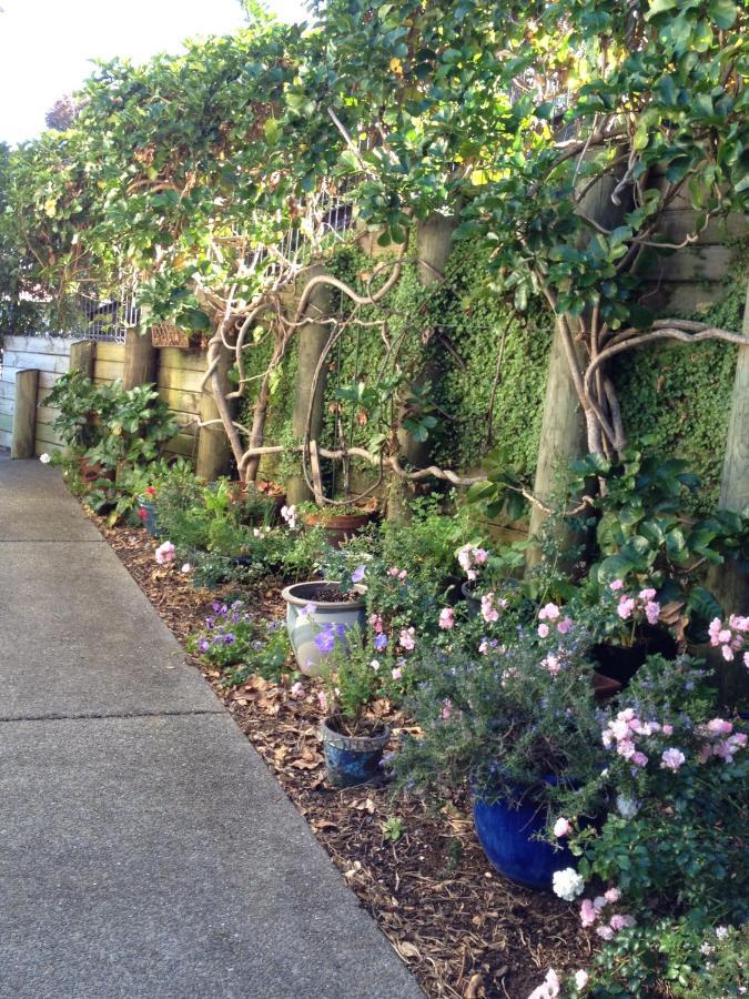 Absolute Waterfront Serenity Near Auckland Clarks Beach Exterior photo